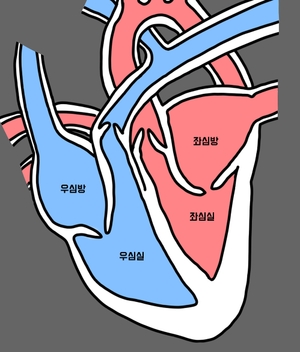 (중등) 과학 혈액순환